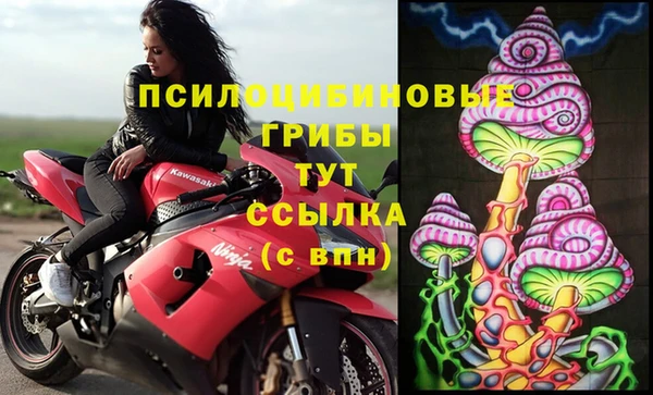 гидропоника Бугульма