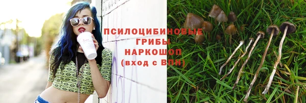 трава Богданович