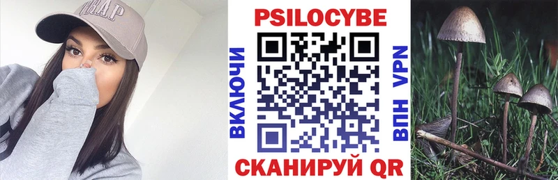 Галлюциногенные грибы мицелий  Реж 